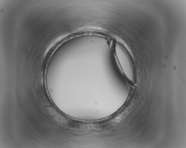 X0000080730973200701051055