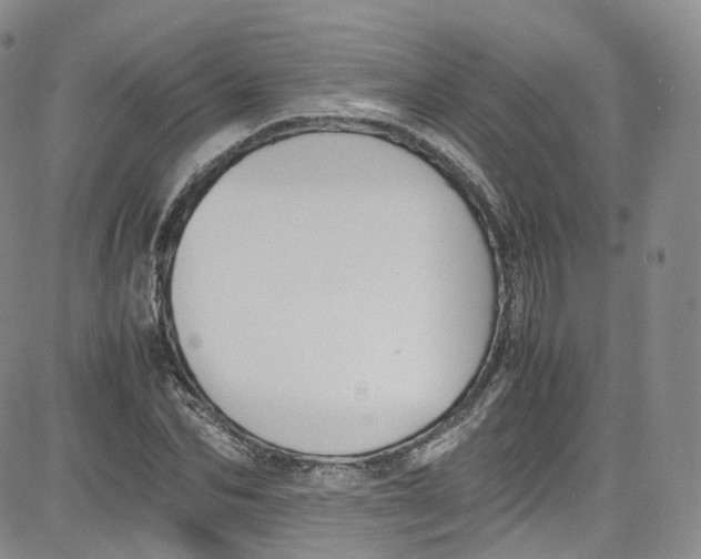 X0000080730974200701051055