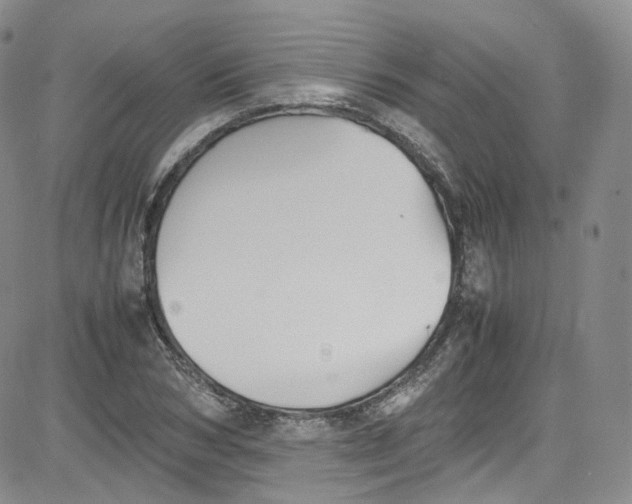 X0000080730978200701051055