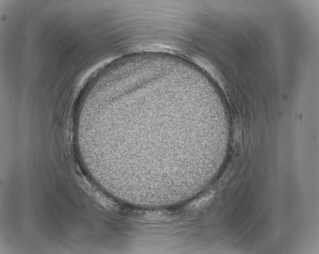 X0000080730979200701051055