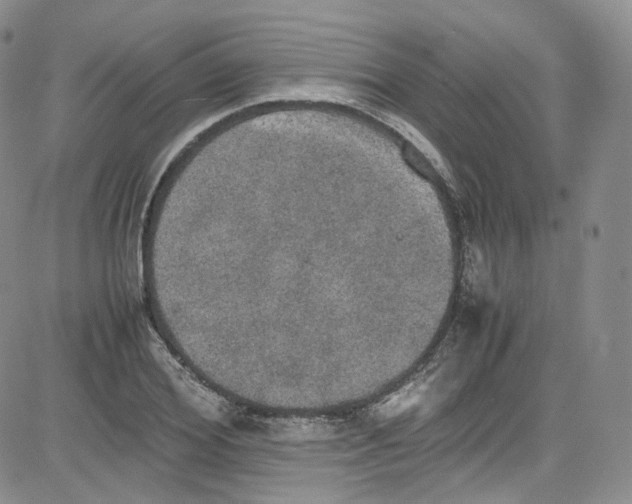 X0000080730980200701051055