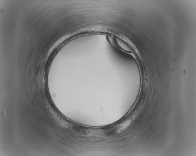 X0000080730981200701051055