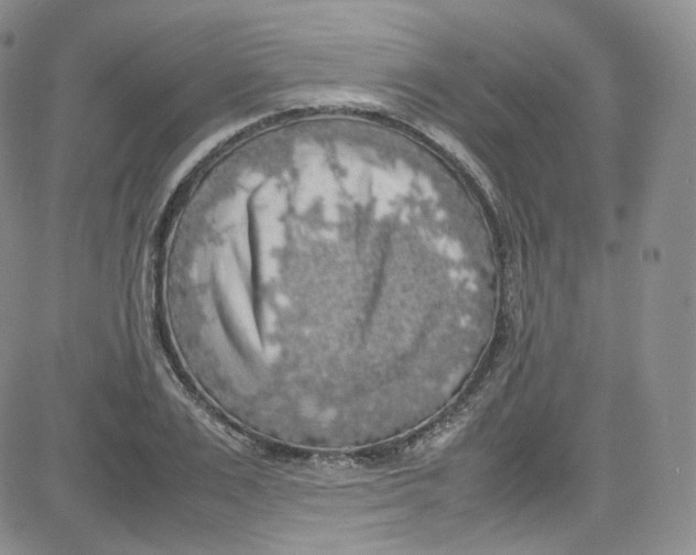 X0000080730983200701051055