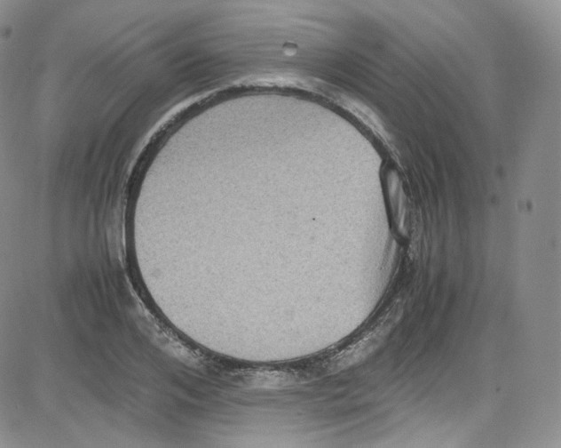 X0000080730984200701051055