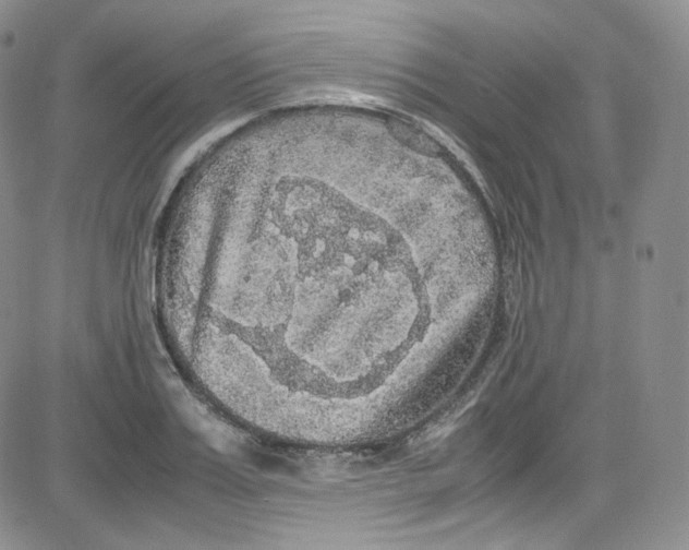 X0000080730987200701051055