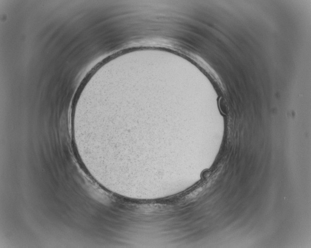 X0000080730988200701051054