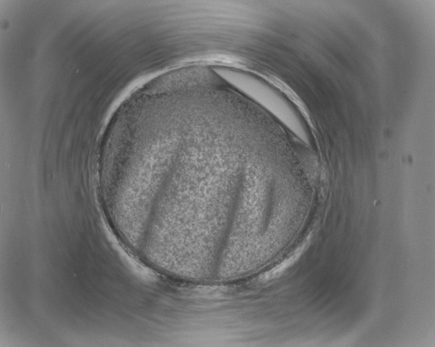 X0000080730989200701051054