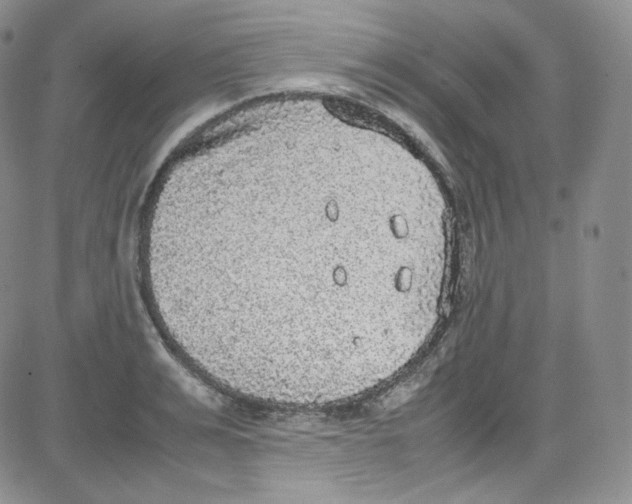 X0000080730991200701051054