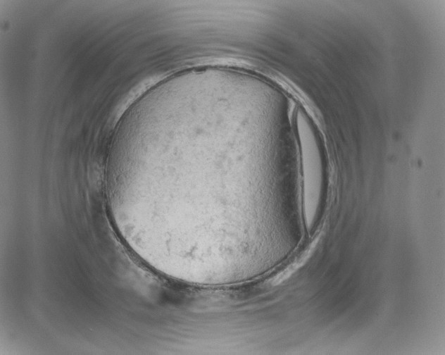 X0000080730993200701051054