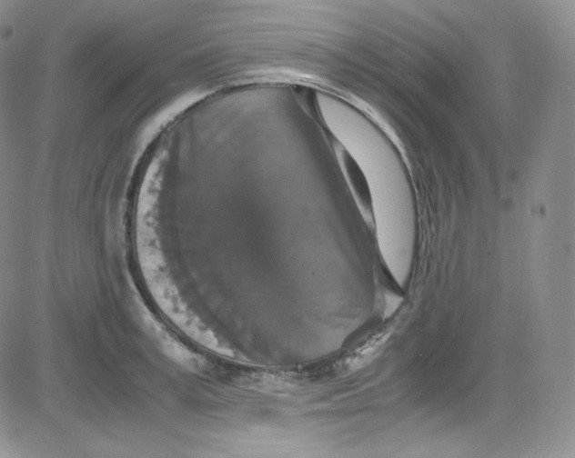 X0000080730995200701051054