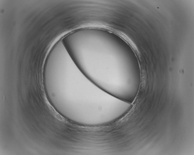 X0000080730996200701051054