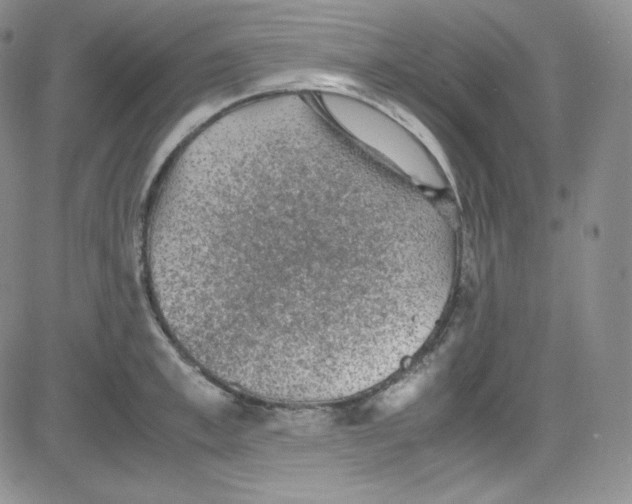 X0000080730997200701051054