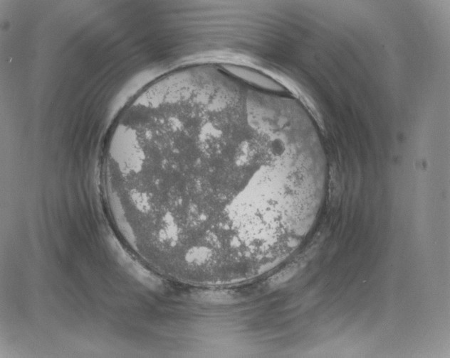 X0000080730998200701051054