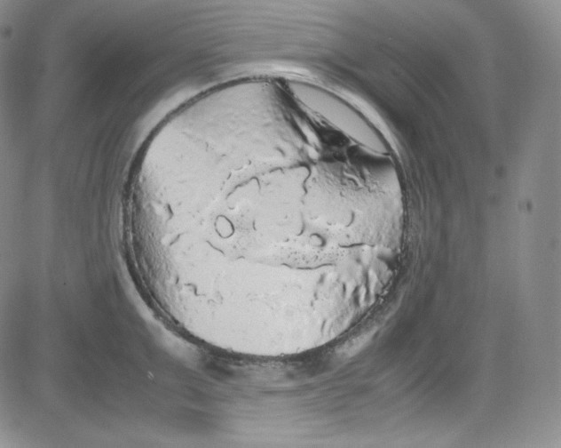 X0000080730999200701051054