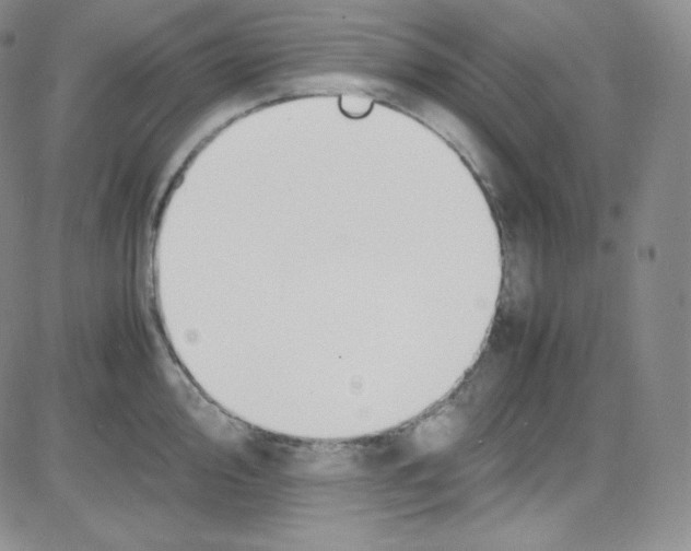 X0000080731000200701051054