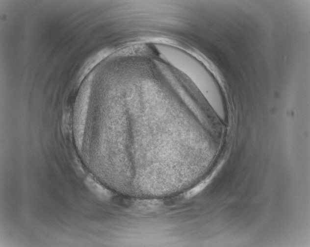 X0000080731001200701051054