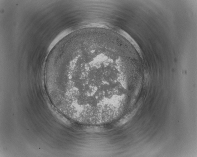 X0000080731002200701051054