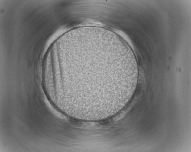 X0000080731003200701051054