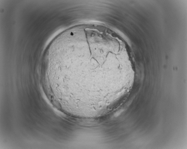 X0000080731007200701051054