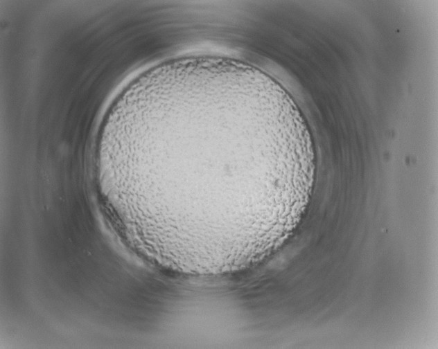 X0000080731008200701051054