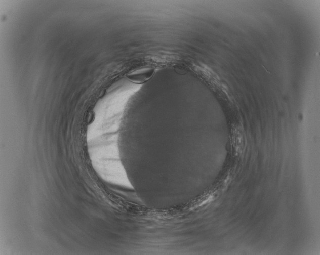 X0000080731009200701051053