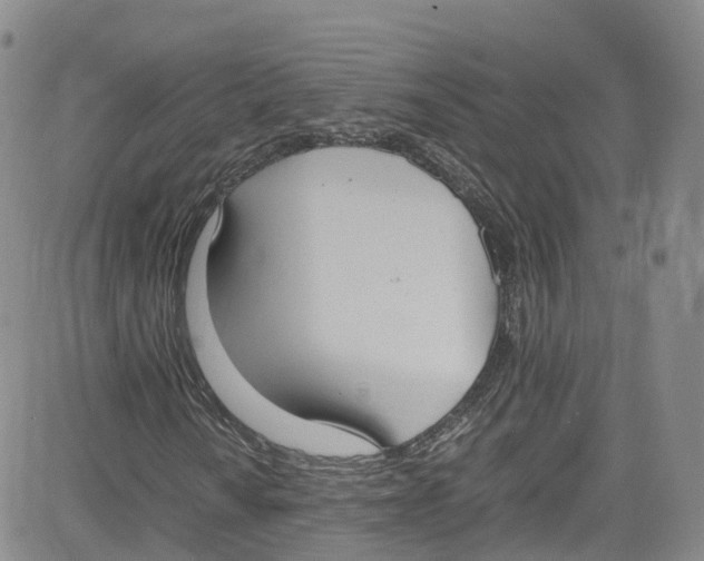 X0000080731010200701051053