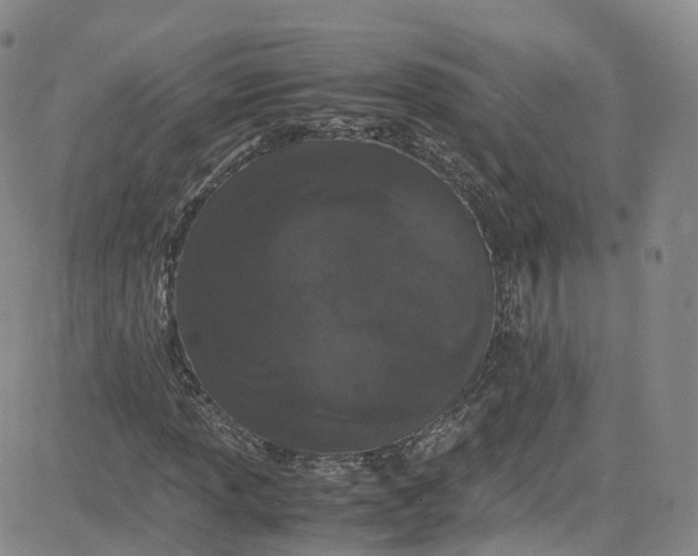 X0000080731013200701051053