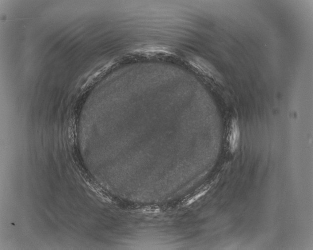 X0000080731014200701051053