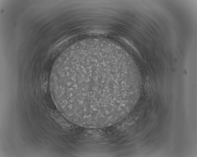 X0000080731015200701051053