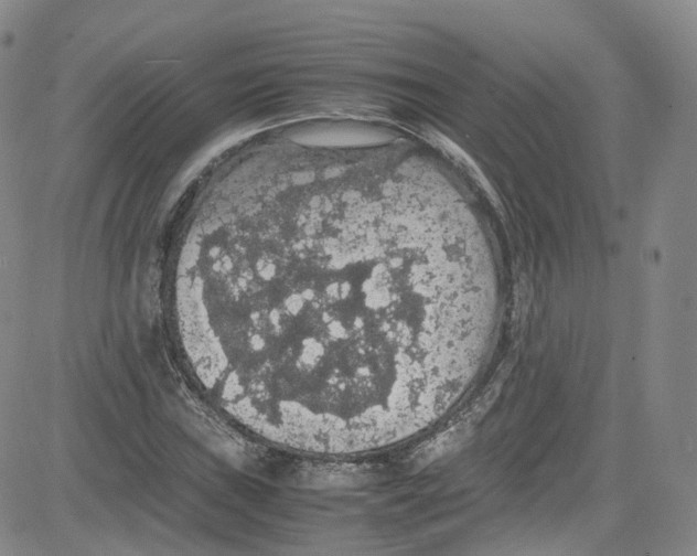 X0000080731019200701051054