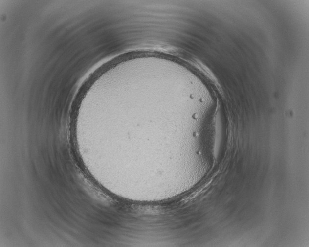 X0000080731020200701051054