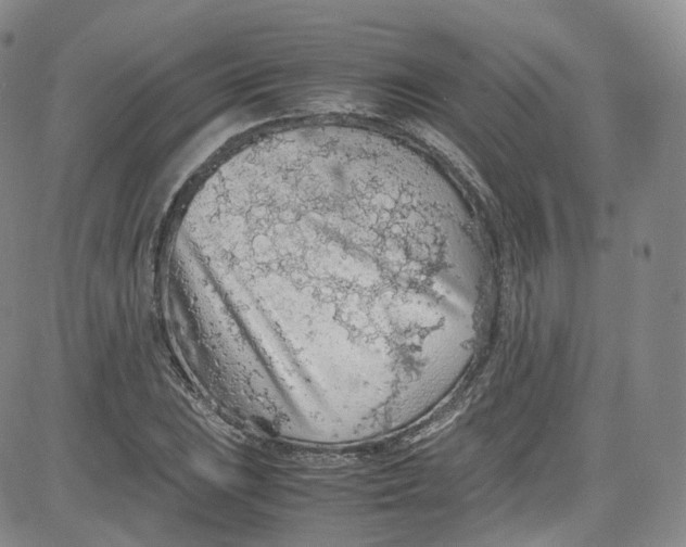 X0000080731023200701051054