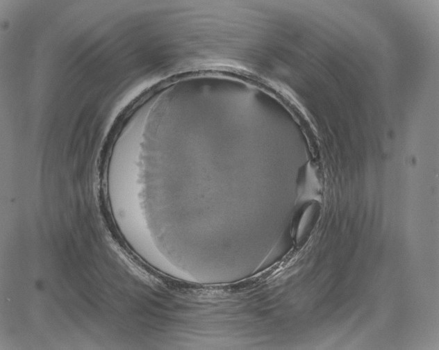 X0000080731024200701051054