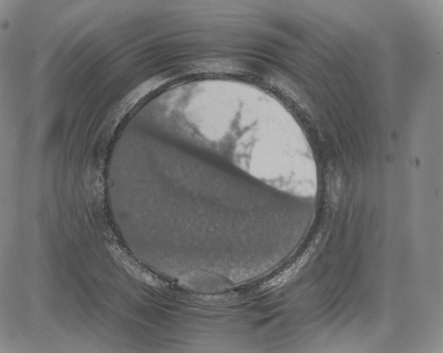 X0000080731025200701051054