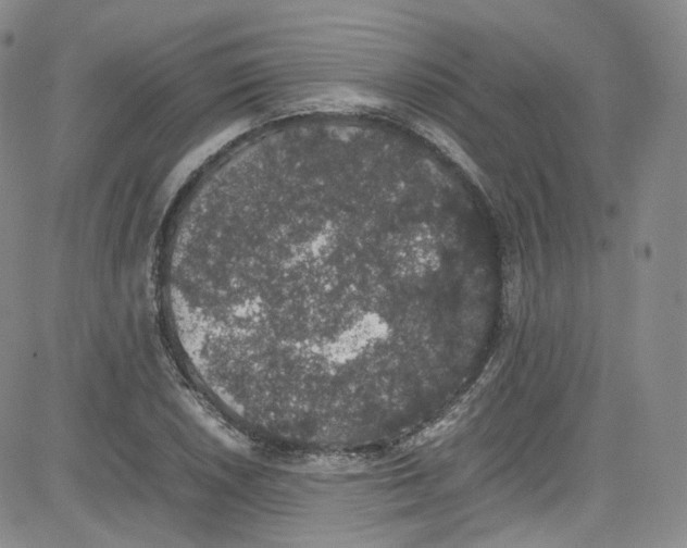 X0000080731026200701051054