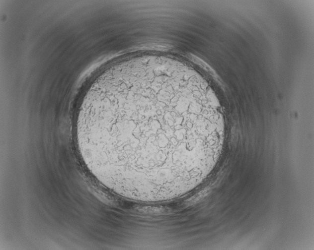 X0000080731027200701051054