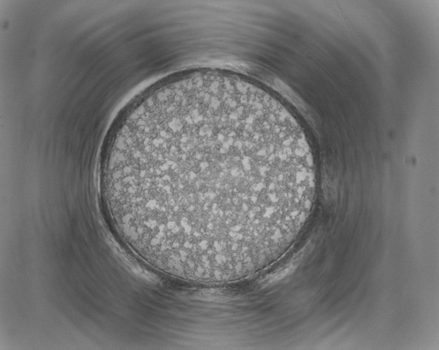 X0000080731028200701051054