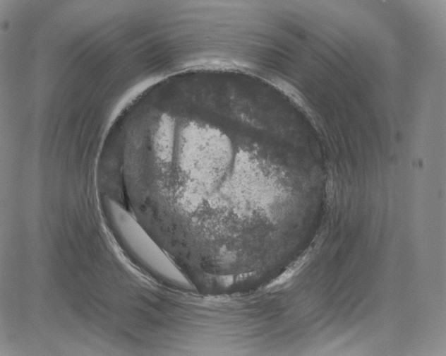 X0000080731030200701051054