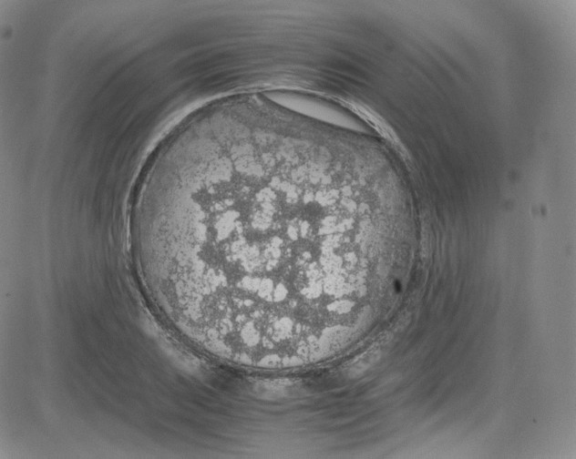 X0000080731031200701051054