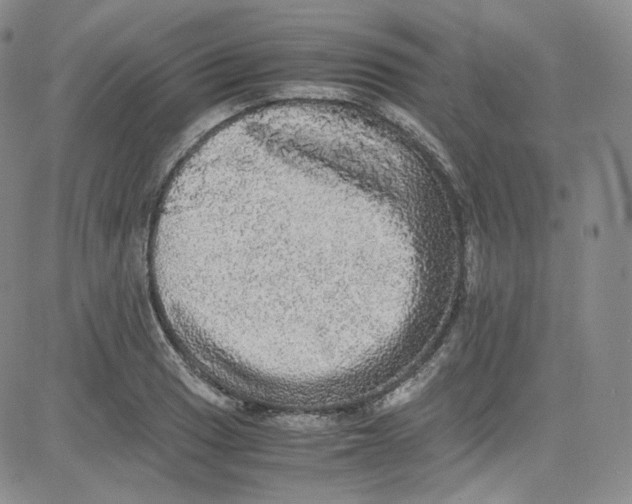 X0000080731033200701051054