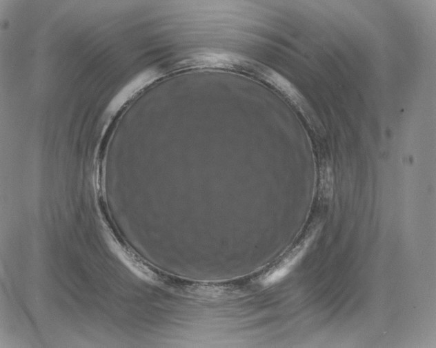 X0000080731034200701051054