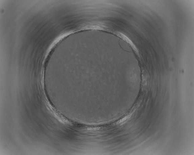 X0000080731035200701051054