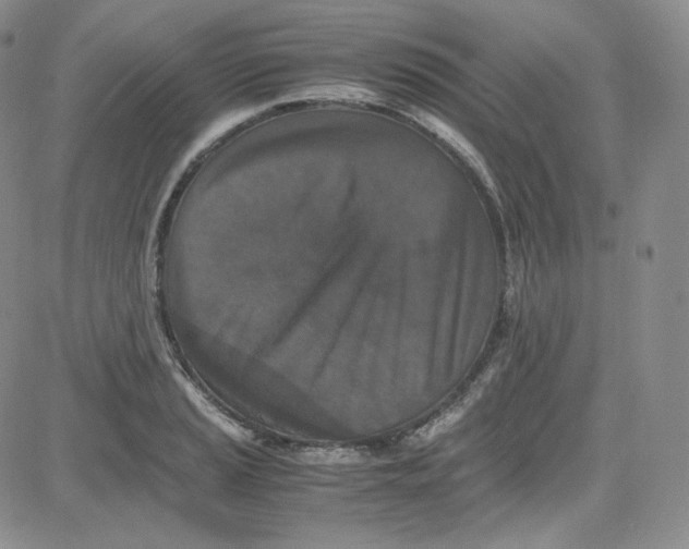 X0000080731037200701051054