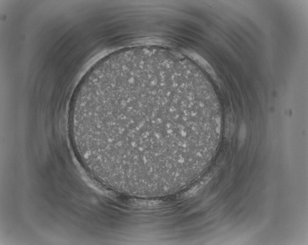 X0000080731039200701051054