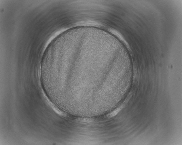 X0000080731040200701051054