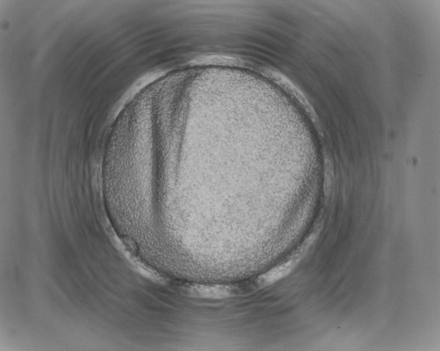 X0000080731041200701051054