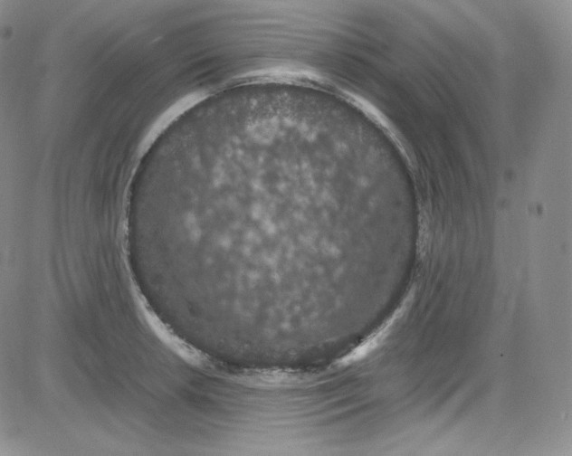 X0000080731042200701051054