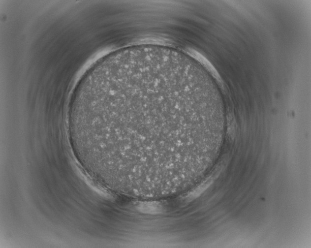 X0000080731043200701051054