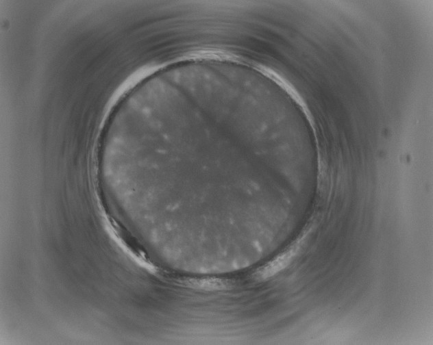 X0000080731045200701051054