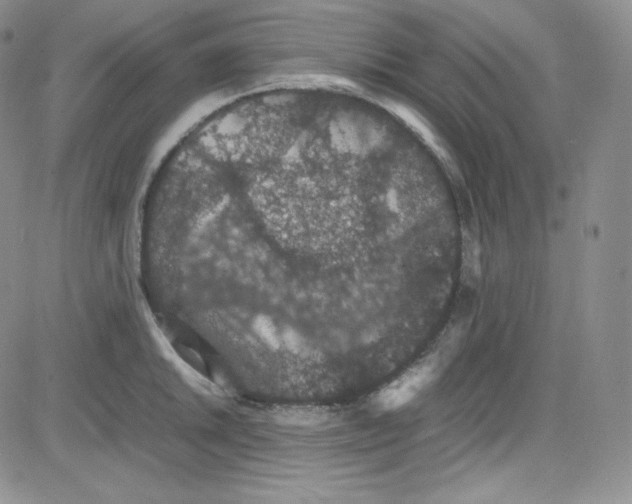 X0000080731046200701051054